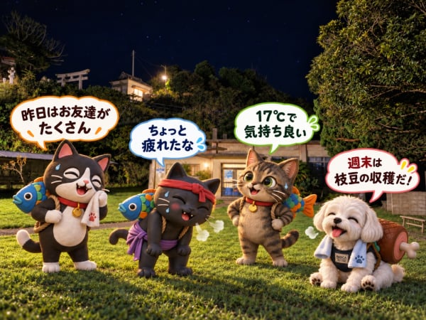 ミラたぐ君たちの写真 (2026.10.19)